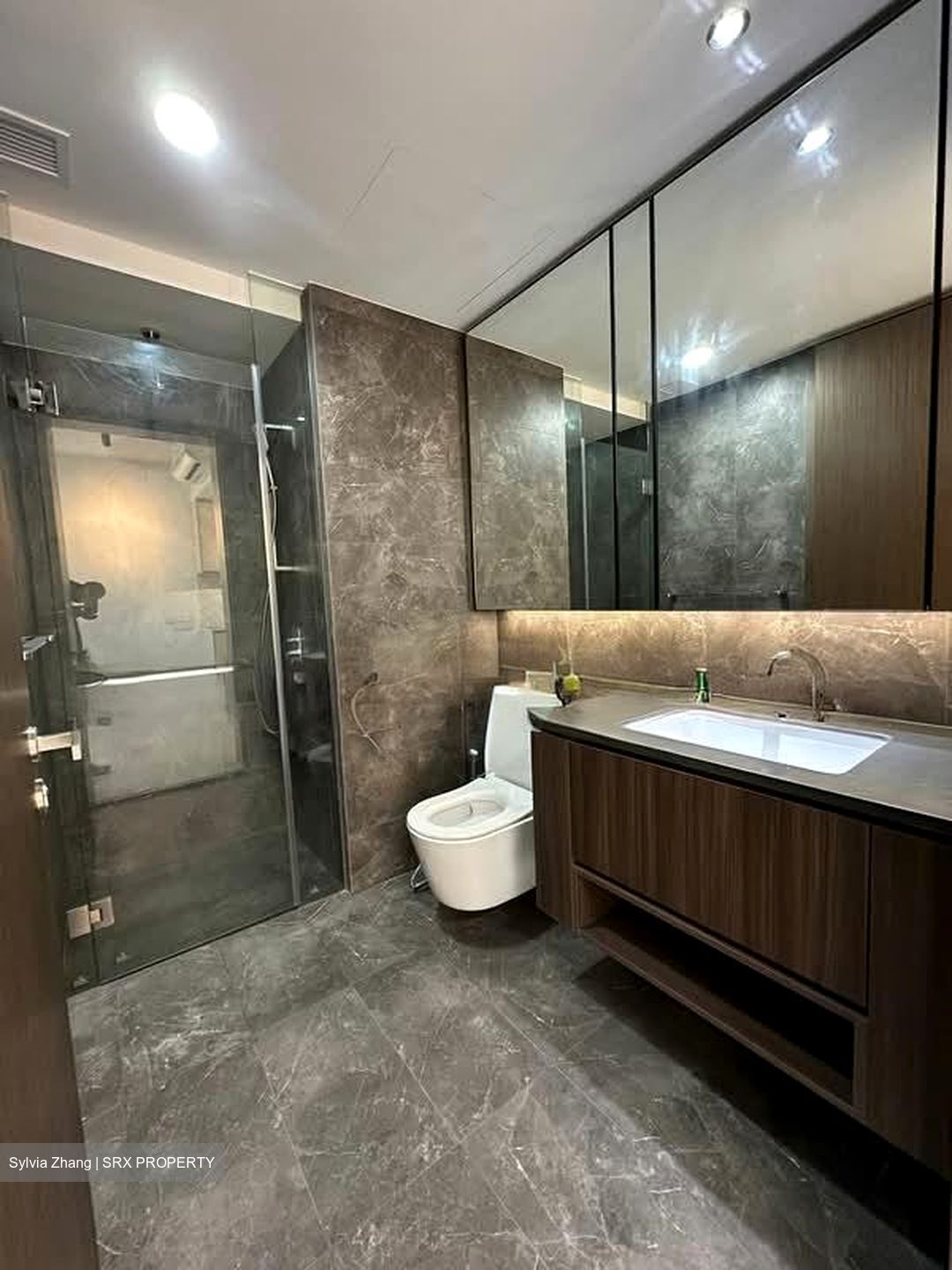 Kopar At Newton (D9), Apartment #546561641